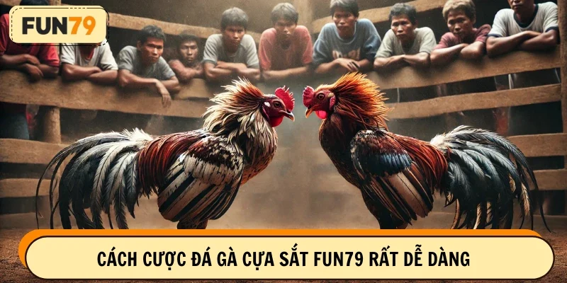 Cách cược đá gà cựa sắt FUN79 rất dễ dàng