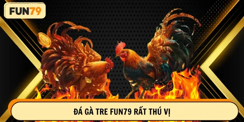 Đá gà tre FUN79 rất thú vị