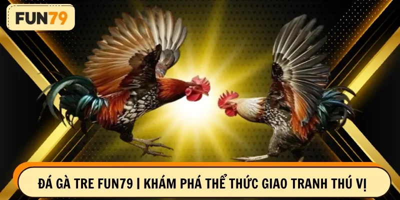 đá gà tre fun79
