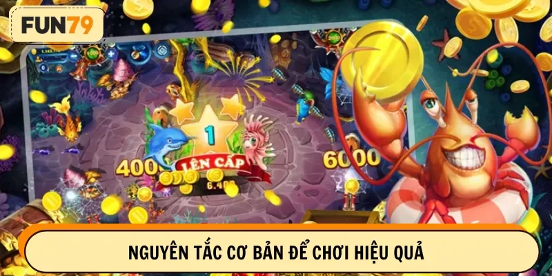 Nắm vững cơ bản luật đầu tư