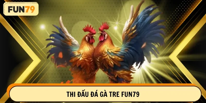Thi đấu đá gà tre FUN79